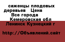 саженцы плодовых деревьев › Цена ­ 6 080 - Все города  »    . Кемеровская обл.,Ленинск-Кузнецкий г.